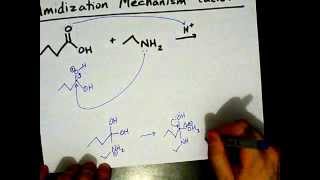 How to Make Amides Mechanism [upl. by Eanar]