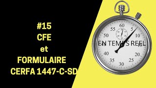 MICROENTREPRISE  15 CFE cotisation foncière des entreprises ET FORMULAIRE CERFA 1447CSD [upl. by Vite]