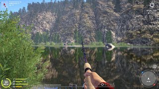 Russian Fishing 4  Belaya River hot spot Brown Trout and GrayLing [upl. by Ulla]