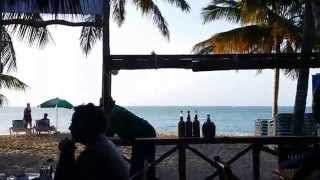 Mojito Bar Best Restaurant Cabarete Dominican Republic [upl. by Rivalee]