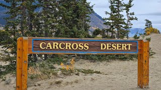 The quotCarcross Desertquot is often referred to as the quotWorlds Smallest Desertquot [upl. by Dellora]