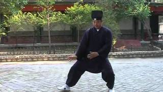 Authentic wudang tai chi 36 forms by master chenlisheng 正宗武当太极拳 [upl. by Mosenthal]