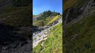 I got baited was expecting this amazing view mtrainier mtrainiernationalpark paradise seattle [upl. by Ydasahc]