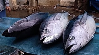 Live 01 Aug 24 ‼️🔥 Cutting fresh yellowfin tuna by skilled hands at Sorong market in Indonesia [upl. by Airednaxela991]