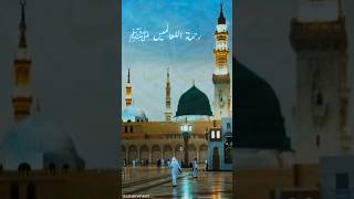 Tu hi Darde dil ka darman Rehmatul lilalameen  Roza Mubarak SAW [upl. by Aeikan140]