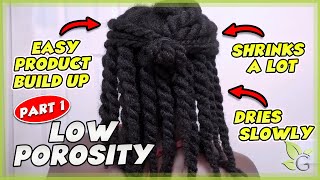 Is your hair LOW POROSITY How to know  Care tips Part 1 [upl. by Amoihc122]