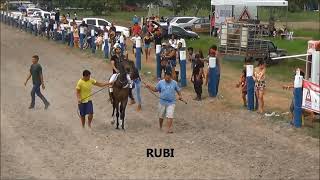 CORRIDA DE CAVALOS RUBI X FANTASMA [upl. by Fiedling]