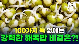 100가지 독 없애는 강력한 해독밥 비결은 메타웰 녹두 녹두전 건강 건강정보 메타웰건강정보 건강관리 메타웰건강뉴스 시니어 50대 음식 녹두요리 녹두효능 [upl. by Ayotac]