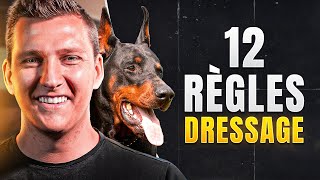 LES 12 RÈGLES POUR DRESSER OU EDUQUER SON CHIEN  tuto dressage chien [upl. by Norvil]