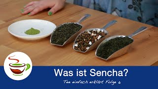 6 quotWas ist Sencha  japanischer Grünteequot  Tee einfach erklärt Folge 6 [upl. by Older]