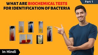 Biochemical Tests for Identification of Bacteria  in Hindi  CatalaseOxidaseICUT tests [upl. by Ellenwad987]