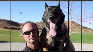 Castle Rock Police K9 Unit [upl. by Marketa]