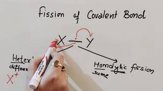 Fission of Covalent Bond  Inductive Effect  Hyperconjugation Class 11Chemistry [upl. by Ahsirpac711]