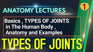 Basics  TYPES OF JOINTS in The Human Body  Anatomy and Examples  ANATOMY LECTURES  NEETPG [upl. by Beera]