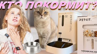 Кто покормит кота Обзор автоматической кормушки с видеокамерой Petkit [upl. by Auoz]