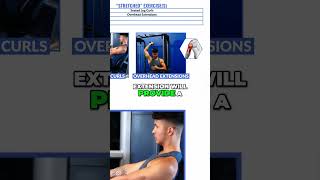 Maximize Muscle Growth Top Stretches for Hamstrings Triceps amp Biceps [upl. by Amsirak]