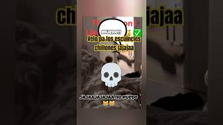 memes gatos vs niños chillones catmemes viralshorts funnycats cuautherockyelgato baby risa [upl. by Ahmad]