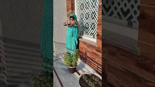 LAHAR LAHAR LAHRAYE RE MERE AANGAN KI TULSI SHORT VIDEO VIRAL [upl. by Sheilah]