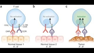 Tumor specific antigen [upl. by Carline]