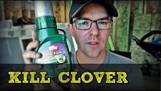 How To Kill Clover In Your Lawn The Cheap Way [upl. by Toomin]