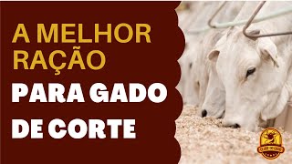 COMO FAZER A RAÇÃO PARA GADO DE CORTE  receita completa [upl. by Culhert]