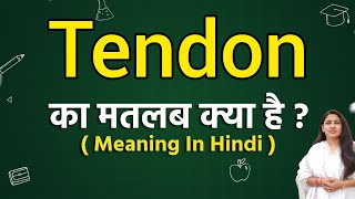 Tendon meaning in hindi  Tendon ka matlab kya hota hai  Word meaning [upl. by Fawn]