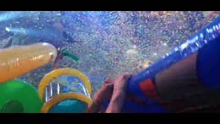 EXE pres elrow Sofia  Enchanted Forest  Toni Varga 09032024 part 6 [upl. by Kubetz]