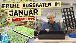 Was kannst du im Januar aussäen  Tipps zur frühen JungpflanzenVoranzucht im Haus [upl. by Eillas]