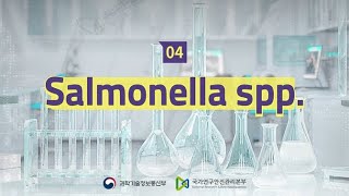 유해물질 마이크로러닝 Salmonella spp [upl. by Ludwigg557]