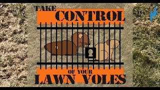 How to get rid of voles [upl. by Ecnesse]