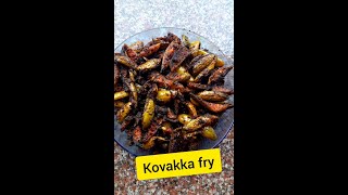 കോവയ്ക്ക ഫ്രൈ  KOVAKKA FRY  EASY RECIPE  HOME MADE  PALAKKADAN STYLE [upl. by Kit]