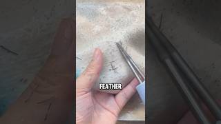 Efficient Electric Poultry Feather Plucker A StepbyStep Guide😅😅 wildanimalfacts facts [upl. by Reni258]