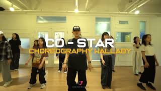 Choreo Class CoStar  Amaarae  Wallaby [upl. by Allak229]