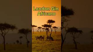 London Dry Gin con Wild Pepper africano 🌿🐘 gin bartender africa ginitaliano [upl. by Nosredneh]