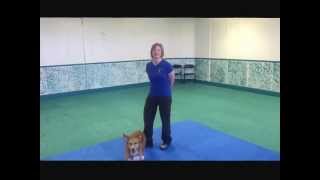 Canine Freestyle and Trick Training [upl. by Francesca]