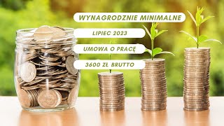 Wynagrodzenie minimalne  lipiec 2023  3600 zł brutto  umowa o pracę [upl. by Edwards]