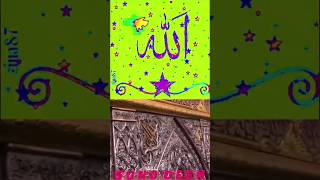 کربلا VIRAL VEDIO SUBCRIBE BEST YOUTUBE CHANNEL SUNO DEEN HOW TO MAKE BEST VEDIO [upl. by Dasi]