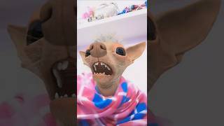 Cycle cycle Mari sonani  🐺🐱💥💥😀😝funny trending shorts shortsfeed trendingshorts [upl. by Ducan]