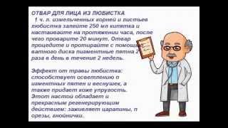 Трава любисток лечебные свойства рецепты и противопоказания [upl. by Stoughton266]