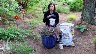 Three Ways to Make A Hanging Basket Container Last All Summer [upl. by Yenahteb762]