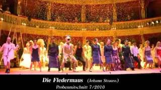 DIE FLEDERMAUS Operette von Johann Strauss [upl. by Yeneffit516]