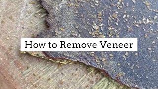 How to Remove Veneer the EASY Way  Iron Method [upl. by Namrak894]