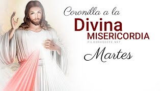 Coronilla de la Divina Misericordia Martes 2 enero 2024  Píldoras de fe [upl. by Euqirrne]