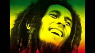 Bob Marley  Baby I Love Your Way [upl. by Nhabois]