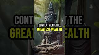 Powerful Buddha Quotes for Daily Inspiration  LifeChanging Quotes Shorts [upl. by Thenna]