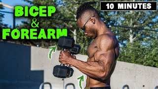 10 MINUTE LIGHTWEIGHT DUMBBELL BICEP amp FOREARM WORKOUT [upl. by Marlane]