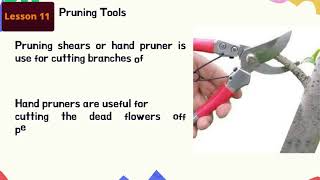 TLE 6 Module 5 Agriculture Lesson 11 Tools and Equipment in Plant Propagation [upl. by Christoffer]