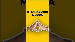 Uttarabodhi Mudra  How to do it Steps and Benefits shorts [upl. by Woodrow]