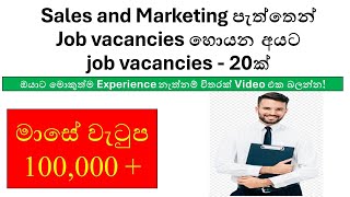 EntryLevel Sales and Marketing Job Vacancies  No Experience Required  03072024 [upl. by Larue562]