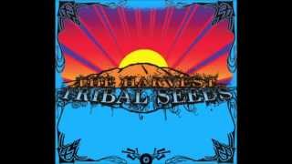 Tribal Seeds  All I Know [upl. by Nyasuh]